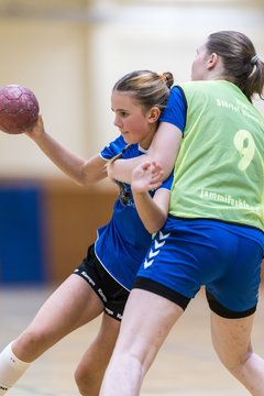 Bild 245 - wBJ TSV Ellerau - HSG Stoertal Hummeln : Ergebnis: 26:19